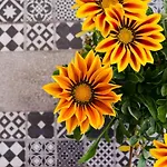 Apartment La Terrazza Di Corso Umberto