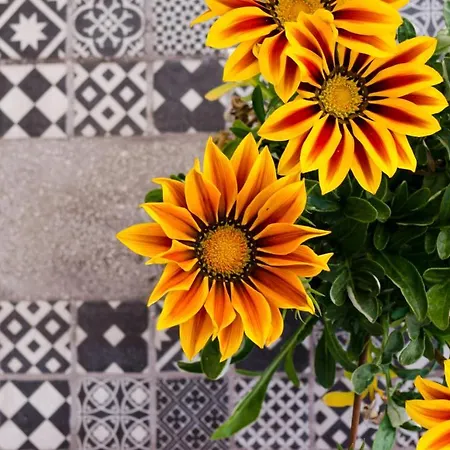 Apartman La Terrazza Di Corso Umberto